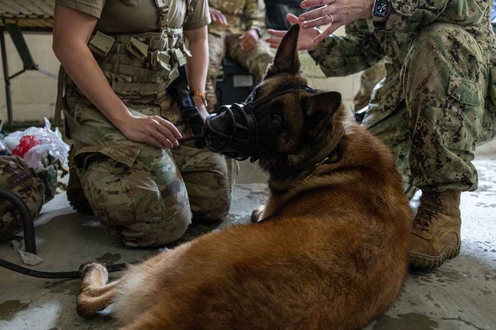 Military Medics Train in Realistic Scenarios During JEMX-25