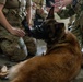 Military Medics Train in Realistic Scenarios During JEMX-25