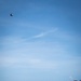 Nimitz Conducts Flight Operations