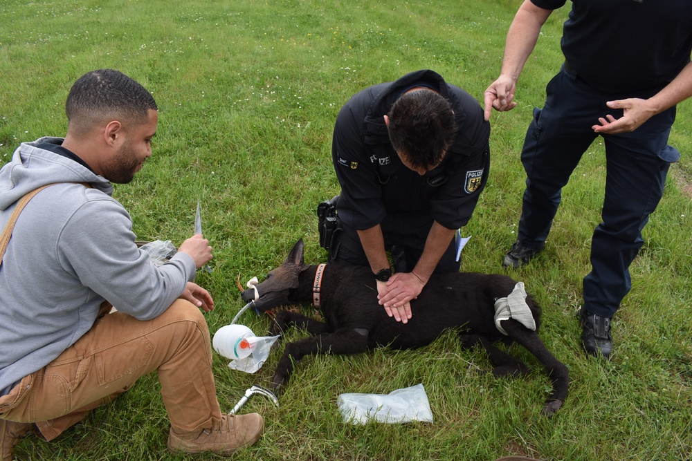 Canine Tactical Combat Casualty Care Training Enhances Military Working Dog Skills and Host Nation Partnerships