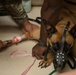 6th SFS MWDs partner with Army for veterinary needs