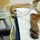 6th SFS MWDs partner with Army for veterinary needs