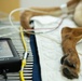 6th SFS MWDs partner with Army for veterinary needs