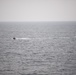 SNMCMG1 ships participate in a TACEX during BALTOPS 25