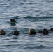 U.S. Navy SEALs Conduct OTB Training During SOUTHERN STAR ‘25