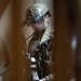U.S. Navy SEALs, Chilean Navy SF, SOF Conduct VBSS Training