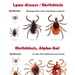 Public Health director shares what sucks about getting bit by mosquitos, chiggers and ticks