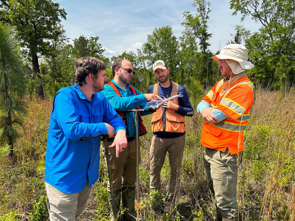Mapping the Future: How wetlands mitigation banking balances conservation and progress