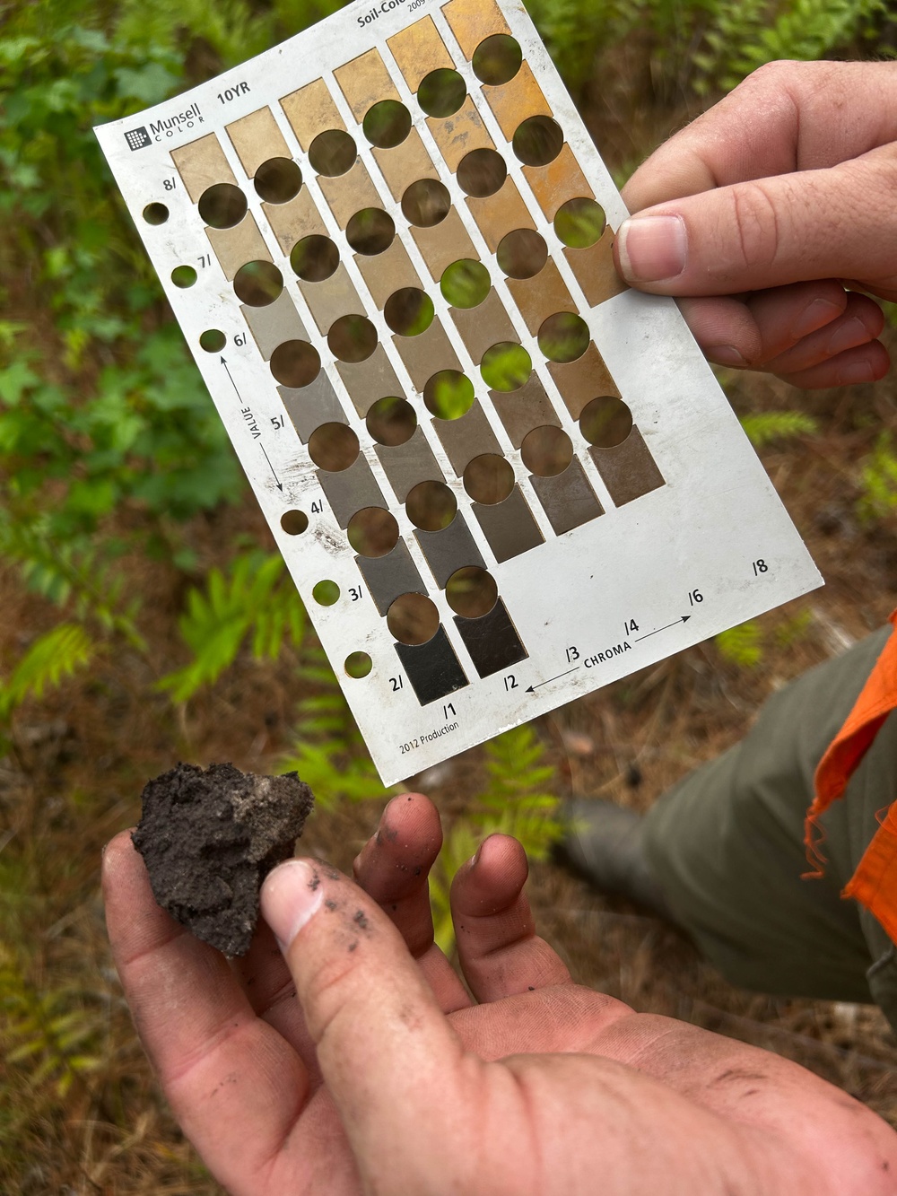 Mapping the Future: How wetlands mitigation banking balances conservation and progress
