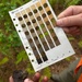 Mapping the Future: How wetlands mitigation banking balances conservation and progress