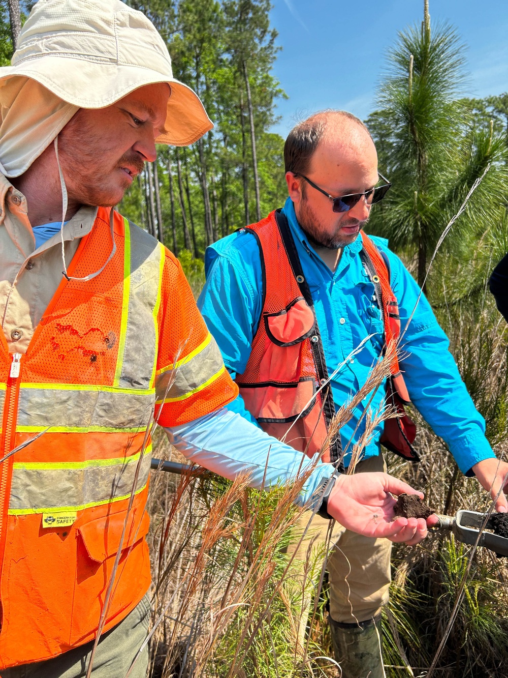 Mapping the Future: How wetlands mitigation banking balances conservation and progress