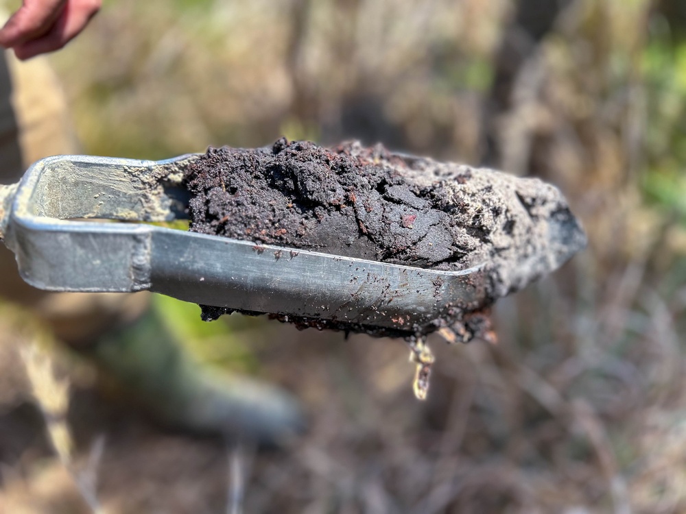 Mapping the Future: How wetlands mitigation banking balances conservation and progress