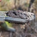 Mapping the Future: How wetlands mitigation banking balances conservation and progress