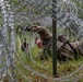 Wisconsin National Guard combat engineers test skills in Sapper Stakes competition
