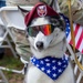 Fort Bragg’s Army’s 250th Birthday Celebration