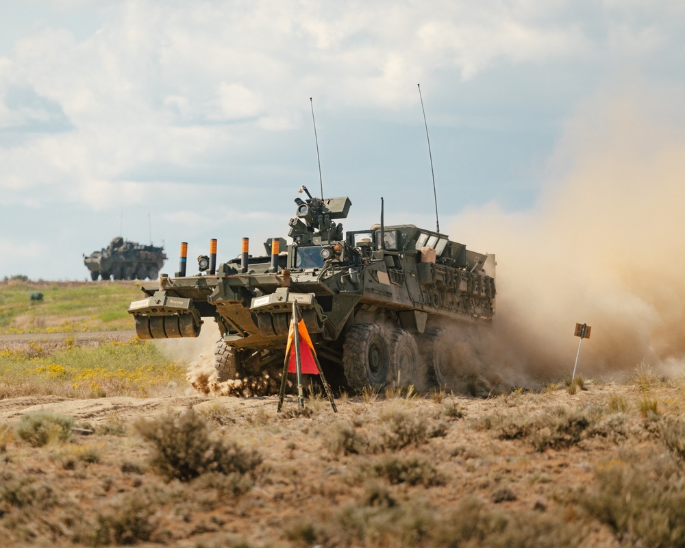 Engineer Live Fire