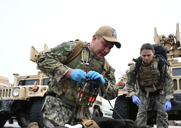 Relentless Valor: 178th Wing enhances battlefield readiness across forces