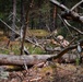 Michigan National Guard Infantry conduct training maneuvers in Latvia