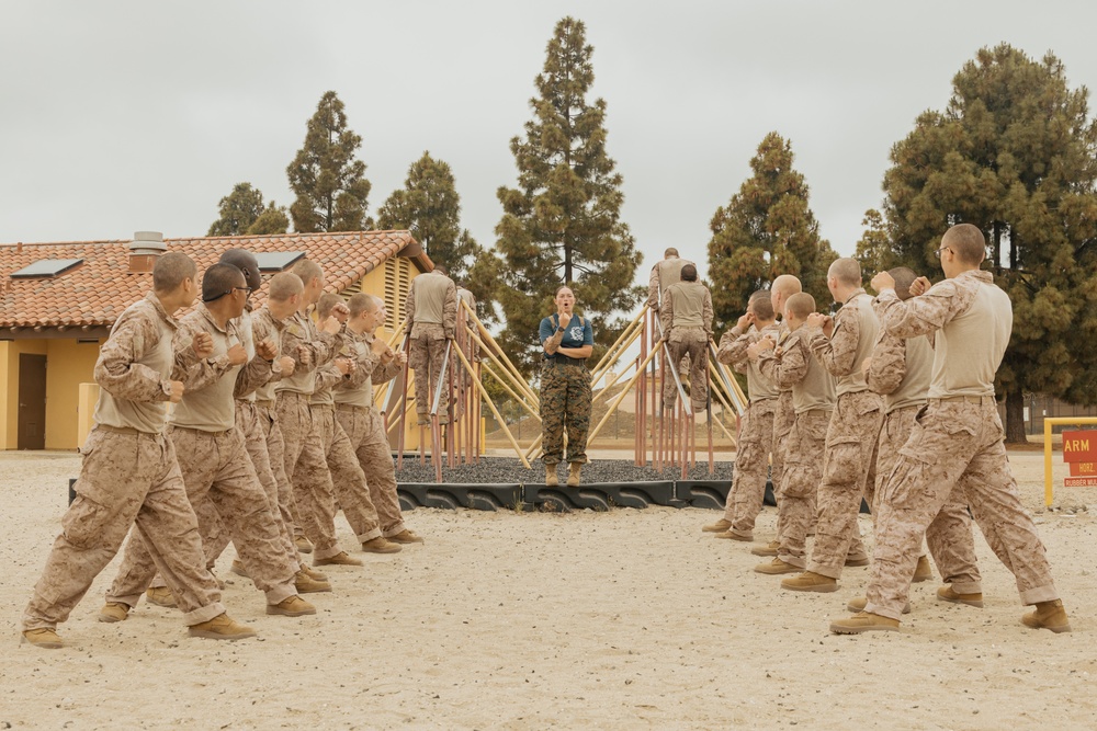 Mike Company Confidence Course