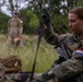JEMX-25 Continues: Joint Forces Master Combat Medical Care