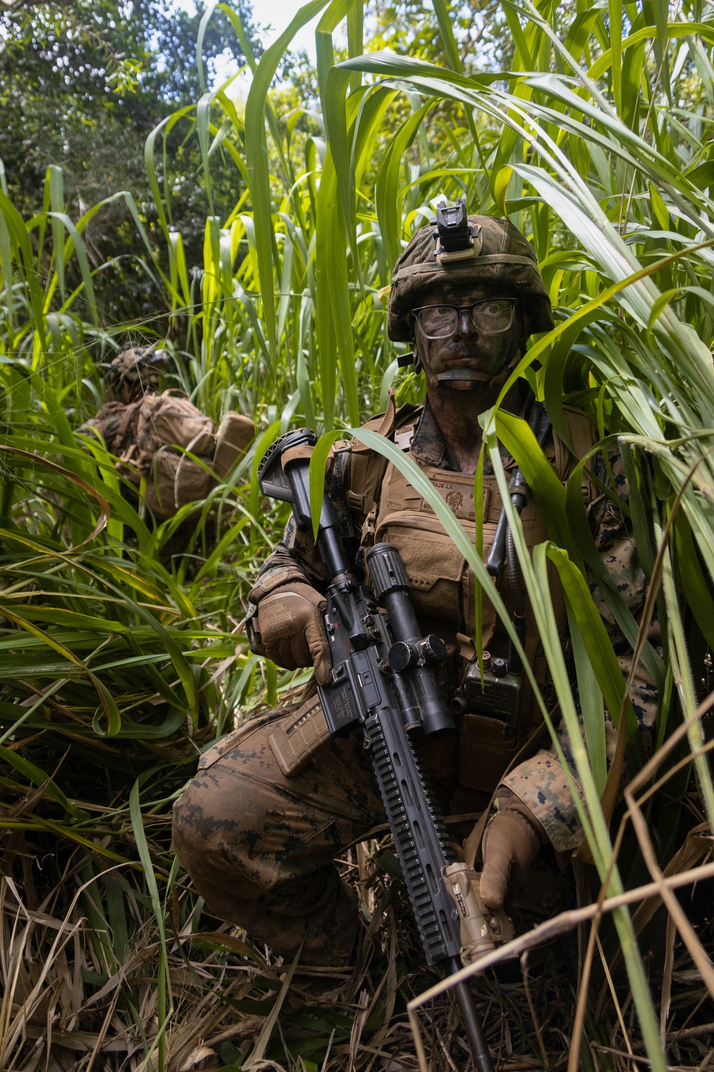 The High Ground: SOI-W Detachment Hawaii AIMC class 3-25 conducts an ambush at KTA
