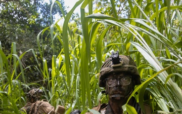 The High Ground: SOI-W Detachment Hawaii AIMC class 3-25 conducts an ambush at KTA