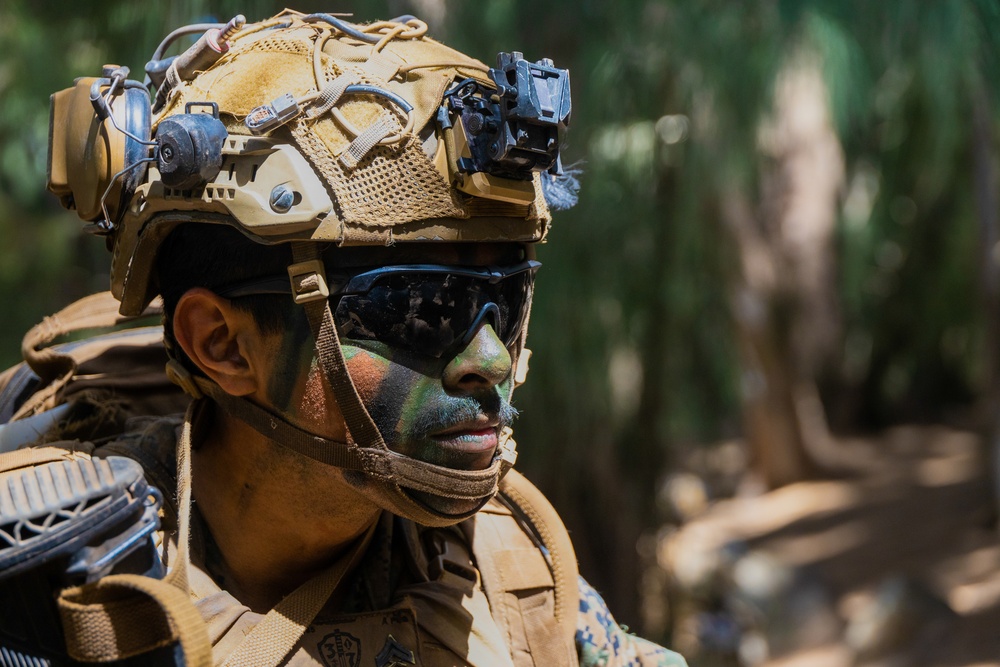 The High Ground: SOI-W Detachment Hawaii AIMC class 3-25 conducts an ambush at KTA