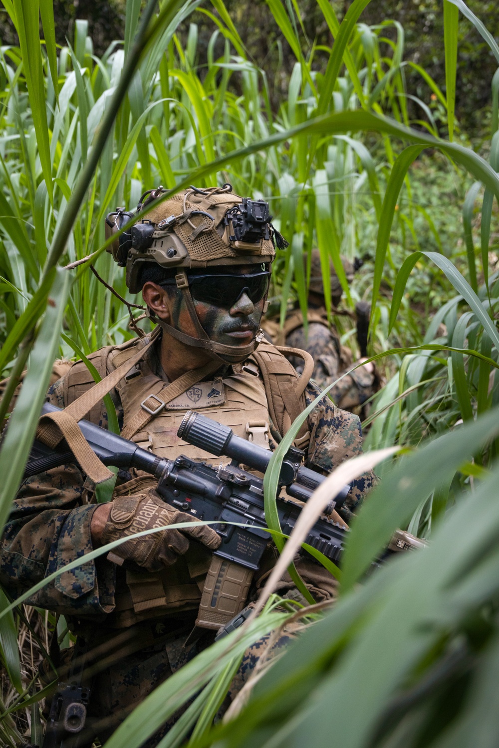 The High Ground: SOI-W Detachment Hawaii AIMC class 3-25 conducts an ambush at KTA