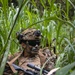 The High Ground: SOI-W Detachment Hawaii AIMC class 3-25 conducts an ambush at KTA