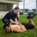 Emory S. Land (AS 39) conducts OC qualification course