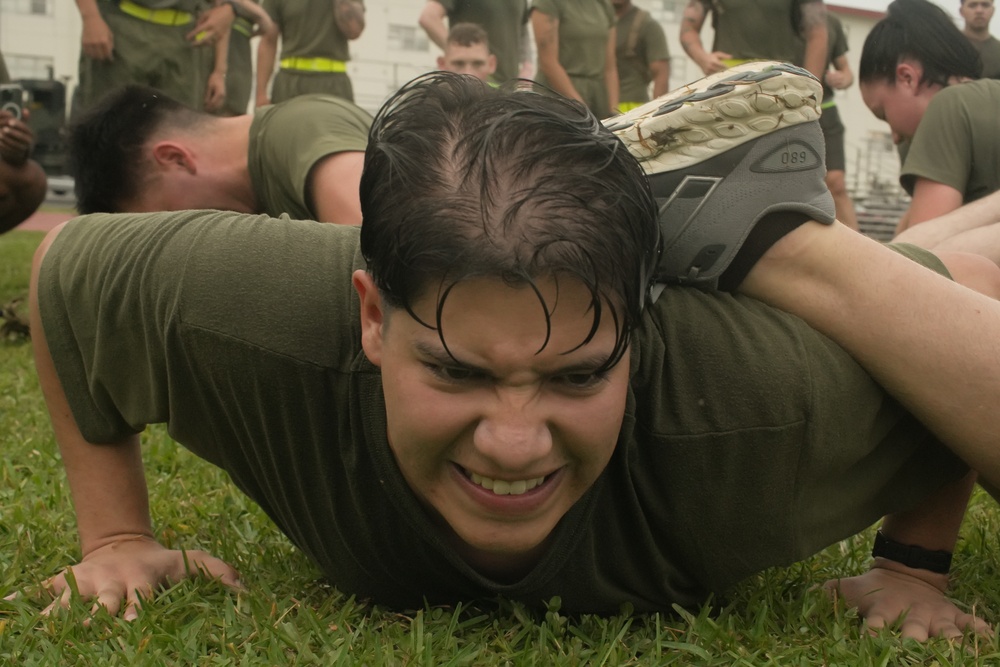3rd MLG Regimental PT