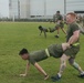 3rd MLG Regimental PT