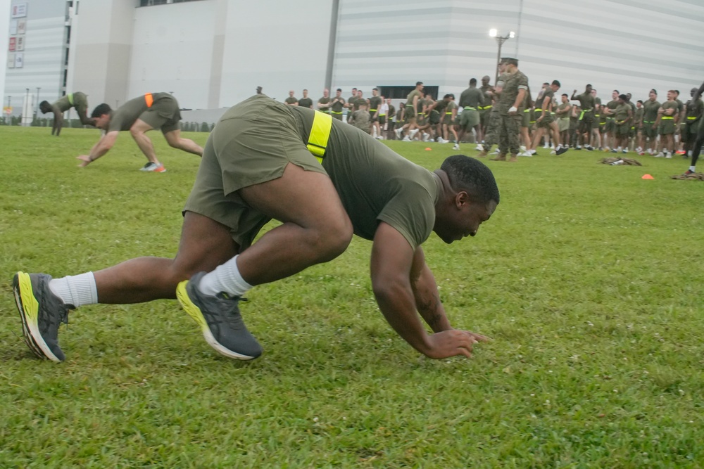 3rd MLG Regimental PT