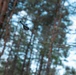 Michigan National Guard Infantry conduct training maneuvers in Latvia