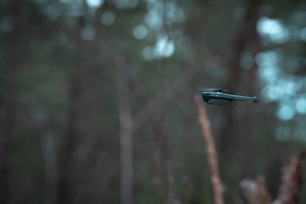 Michigan National Guard Infantry conduct training maneuvers in Latvia