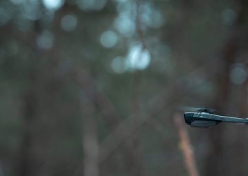 Michigan National Guard Infantry conduct training maneuvers in Latvia