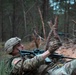Michigan National Guard Infantry conduct training maneuvers in Latvia