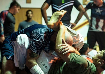 CJTF-HOA trains jiu-jitsu with French, Japanese partners