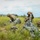 82nd Airborne Division: Airborne Operations (Parachute Drops) 82nd Airborne Division: Airborne Operations (Parachute Drops)