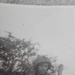 A Bridge, a Battle, and a Belated Honor: SSG William Owens Awarded Distinguished Service Cross 81 Years After D-Day