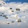 82nd Airborne Division: Airborne Operations (Parachute Drops) 82nd Airborne Division: Airborne Operations (Parachute Drops)