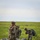 82nd Airborne Division: Airborne Operations (Parachute Drops) 82nd Airborne Division: Airborne Operations (Parachute Drops)