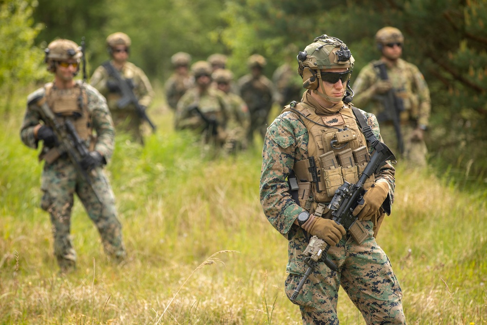 U.S. Marine 2nd LAR and Portuguese Service Members Conduct Integrated Patrol