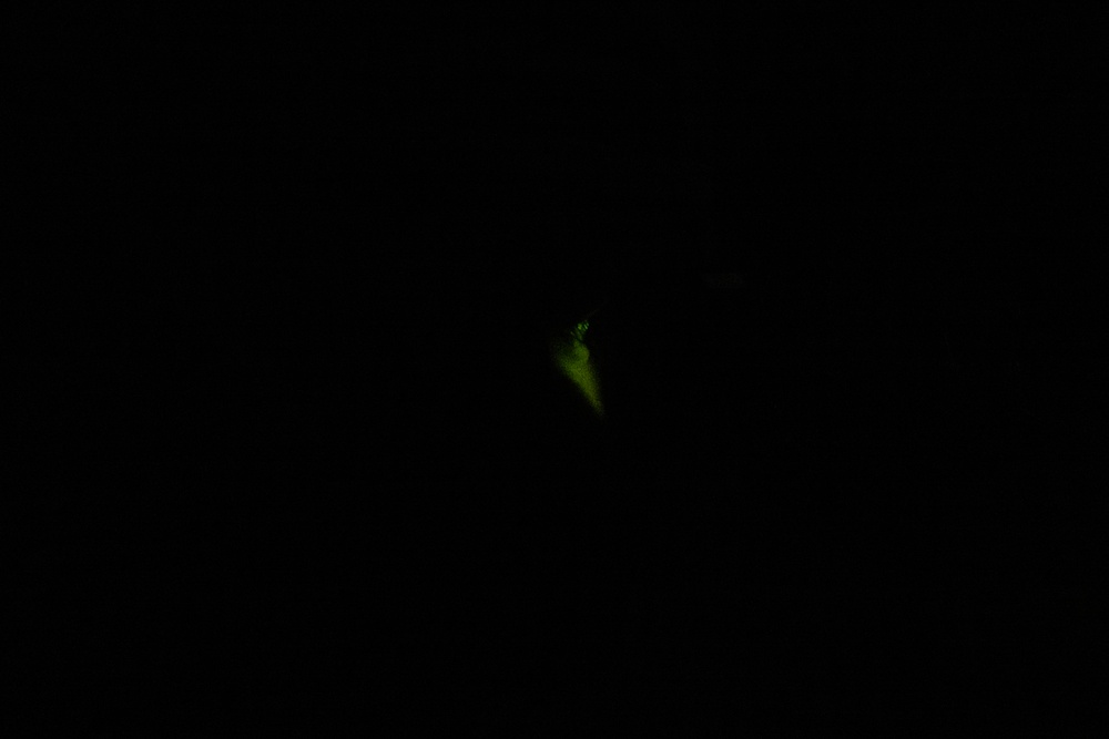 Night Ops: SOUTHERN STAR 25