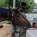 1st Squadron, 4th Cavalry Regiment Change Of Command