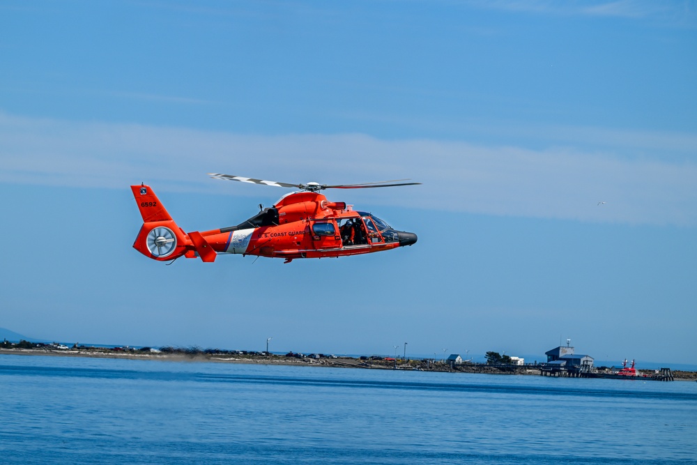 SAR DEMO