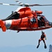 SAR DEMO