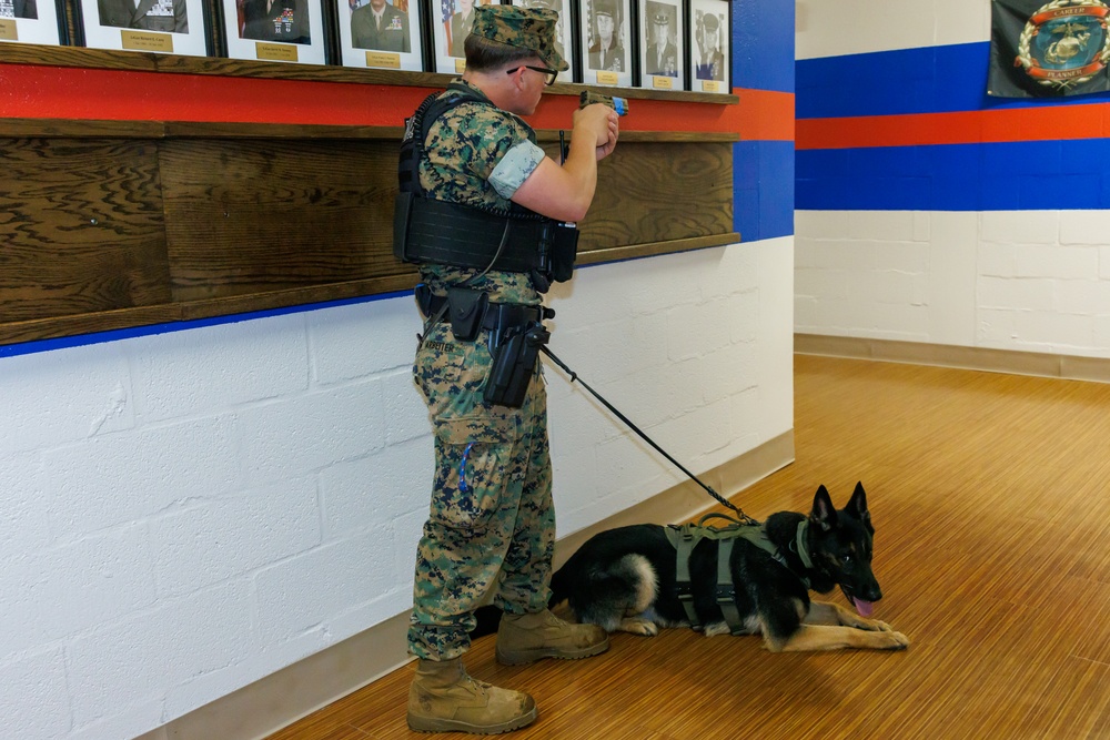 Quantico Hosts Regional Active Shooter Response Exercise