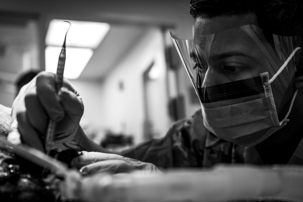 6th SFS showcases joint force interoperability with Army veterinarians