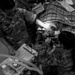 6th SFS showcases joint force interoperability with Army veterinarians